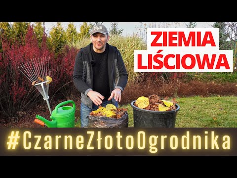 Ziemia liściowa. Jak zrobić Czarne Złoto Ogrodnika?