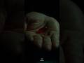 Red Pill Or Blue Pill The Matrix 1999