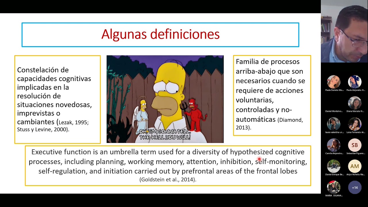 Introducción a las funciones ejecutivas