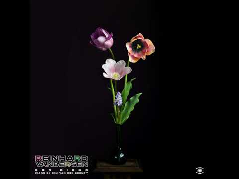 Reinhard Vanbergen - Don Diego (Piano by Kim Van Den Brempt) - s0593