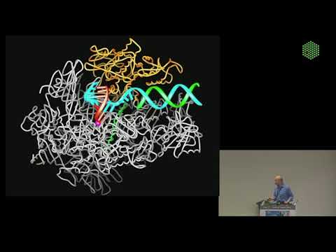 EMBL Keynote Lecture - The +1 Nucleosome, Roger Kornberg