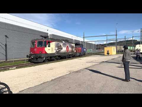 SBB Re 420 251 "175 Jahre Schweizer Bahnen" in Yverdon les Bains