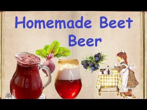 Homemade Beet Beer / Book of recipes / Bon Appetit