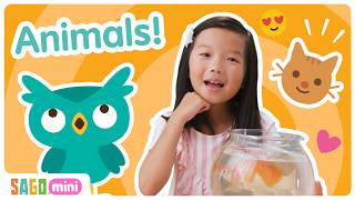 Discover Animals & Nature! 🦁🌎 | Fun Animal Facts & Nature Adventures for Kids | Sago Mini