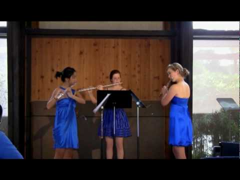 Areon Flutes Education! Areon Chamber Music Institute Performs Boismortier and Tomasi