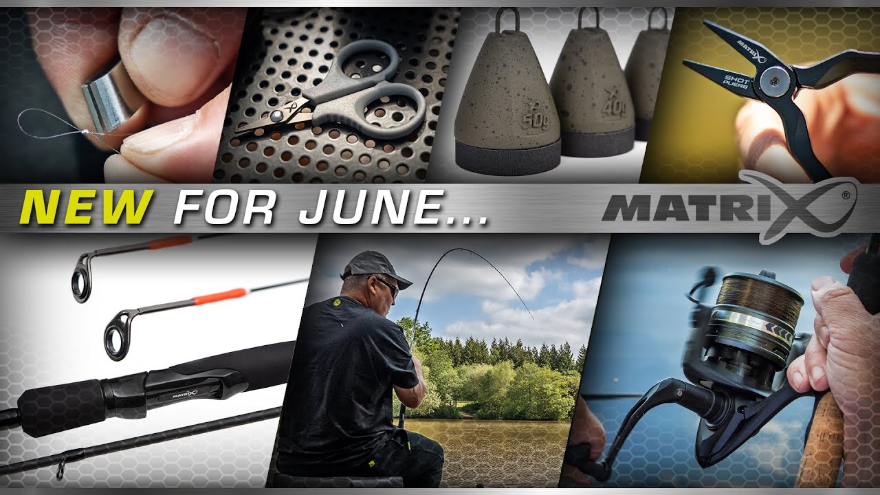 Fishing Frenzy Unveils Tokenomics and Karma System in Whitepaper