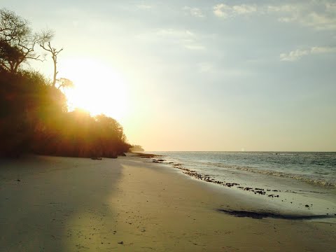 Discover Exclusive Beachfront Land for Sale in Sumba, Indonesia | Prime Investment Opportunity!