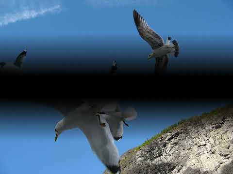 Norweigian Fjords - slide show by Jairam Khambadkone