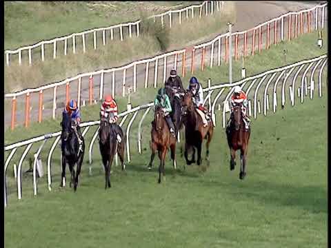 Galoppo 23/11/2019 - 3ª corsa