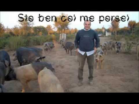 Canzone veneta radiosboro mi so un agricoltore