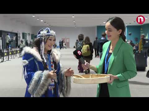 Nakhchivan news - 13.11.2024