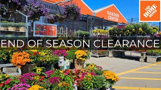 Home Depot End of Season Plant Clearance! October 2024 Fall Planting, Perennials, Shrubs, Evergreens