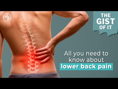 Lower back pain: all you need to know about it | The Gist Of It