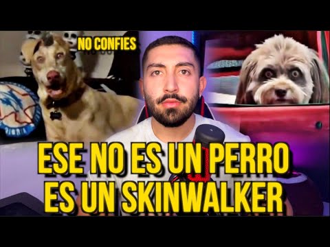 THAT'S NOT YOUR DOG... IT'S A SKINWALKER