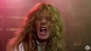Whitesnake Looking For Love Unofficial Video