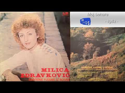 Milica Zdravkovic - Moj behare - (Audio 1982)
