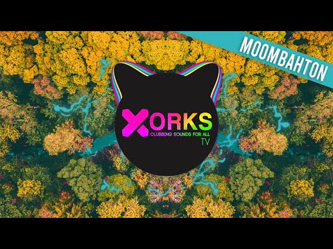 DJ ANI x Oneshot x Blacki - Fack Body