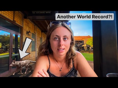 We Found the World’s Most Dangerous Pub – Port Hedland & Dampier Travel Vlog
