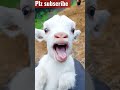 Bakri Mai Main Shorts Viral Youtube