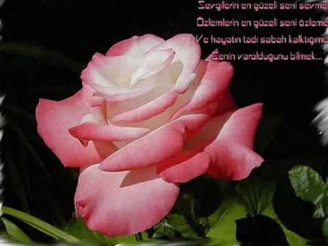 Deniz & Seniha - Seni Seviyorum