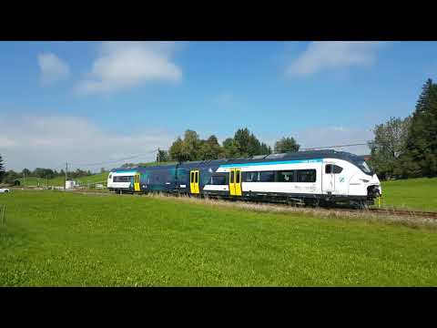 Siemens Mireo Plus H Wasserstoff Sonderzug in Füssen #sonderzug #testfahrt