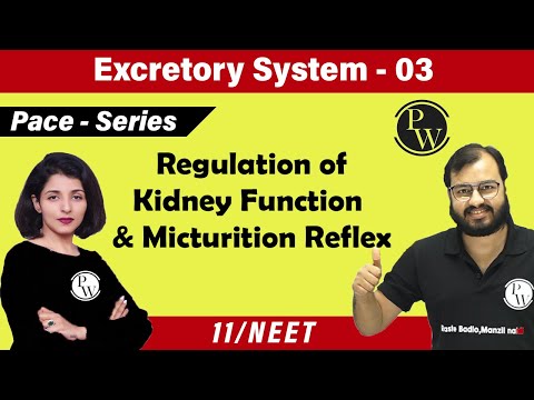 Excretory System 03 | Regulation Of Kidney Function | Micturition Reflex | Class 11 | NEET |