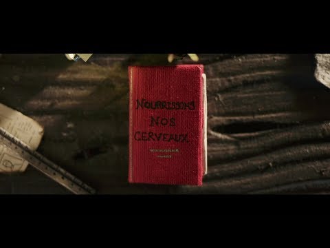 SINSEMILIA - Nourrissons nos cerveaux. [ feat : Guizmo (Tryo), Balik (Danakil) ] - Clip Officiel