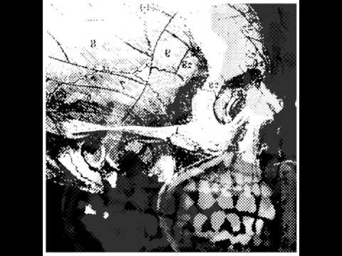 Vengeance - Split 7