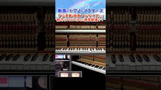 Download lagu 千本桜 feat.初音ミク/黒うさP(連弾風) mp3 Download lagu 千本桜 feat.初音ミク/黒うさP(連弾風) mp3