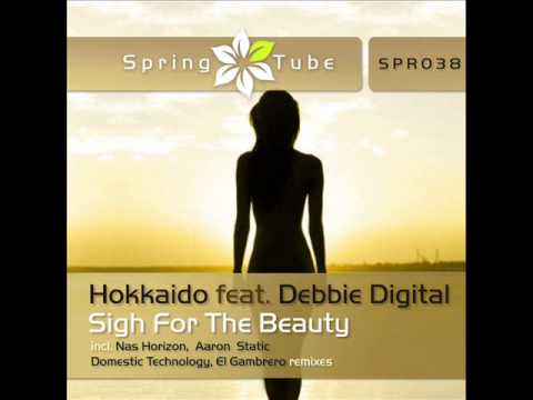 Hokkaido feat. Debbie Digital - Sigh For The Beauty (Aaron Static Remix) - Spring Tube
