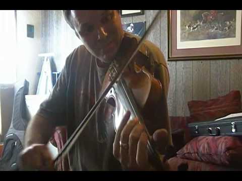 Possum Up a Gum Stump