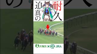 【目が覚める様な末脚】 #トウセンジョーダン #アイルランドトロフィー # #シンデレラグレイ #うま娘 #競馬 #凱旋門賞