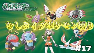 【ポケモン　エメラルド】　ポケモン最強の虫タイプで打倒ダイゴ！！　とらごろうの一人旅　part17