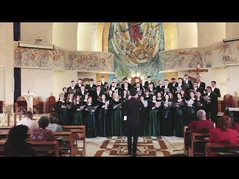 ,,Stabat Mater - Ave Verum" - compozitor Karl Jenkins