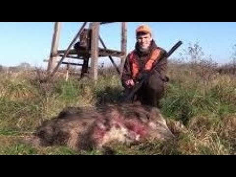 Drückjagd im Schilf - Trailer - Hunter Brothers