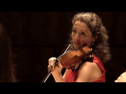 Brahms: String Sextet No. 1, Op. 18 | Amaryllis Quartett, Volker Jacobsen, Jens Peter Maintz