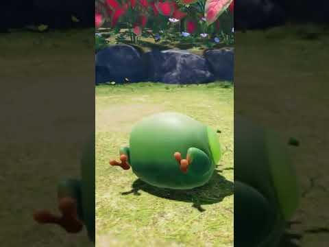 びっくり菊を爆殺してみた【ピクミン4 PIKMIN4】 #pikmin4 #pikmin #ピクミン