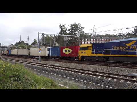 NR69 / AN8 / NR28 Indian Pacific with PN 7SB1 - 21/10/17