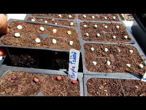 download lagu mp3 mp4 Fall Garden, download lagu Fall Garden gratis, unduh video klip Fall Garden