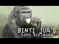 Binti Jua's 32nd Birthday