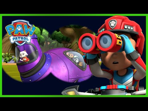 Dino-redning: Vovserne redder en Hum-dino - PAW Patrol På Dansk Tegnefilm for børn