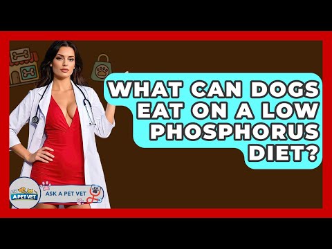 What Can Dogs Eat On A Low Phosphorus Diet? - Ask A Pet Vet