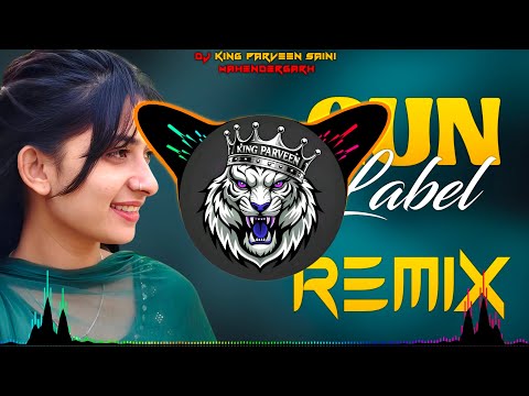 Dj Parveen Saini Mahendergarh and Dj King Parveen Saini 