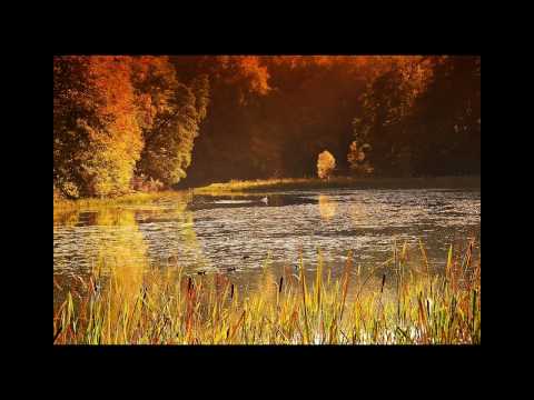 Emil Klotzsch - Koeng Of Thule (Gorje Hewek Remix)