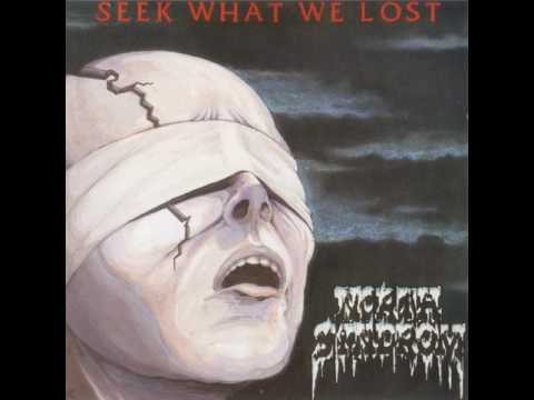 MetalRus.ru (Thrash Metal). NORTH SYNDROM — «Seek What We Lost» (1994) [Full Album]