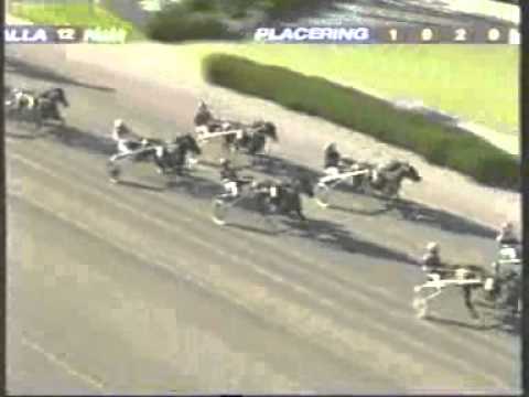 Fyraåringseliten Club Grand Prix 2009 -Reven d'Amour