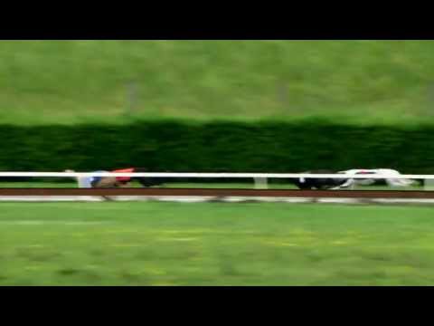 CZECH DERBY TRIAL STAKES 1