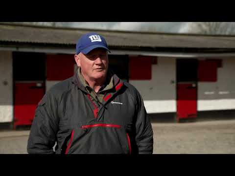 Willie McCreery, Curragh Trainer