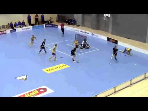 Maalikooste Kasperi Kantosen maaleista pelissä OLS-Happee 17.1.2016