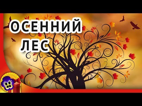 Осенний лес 🍁 Желтые листья падают 🍁 Autumn